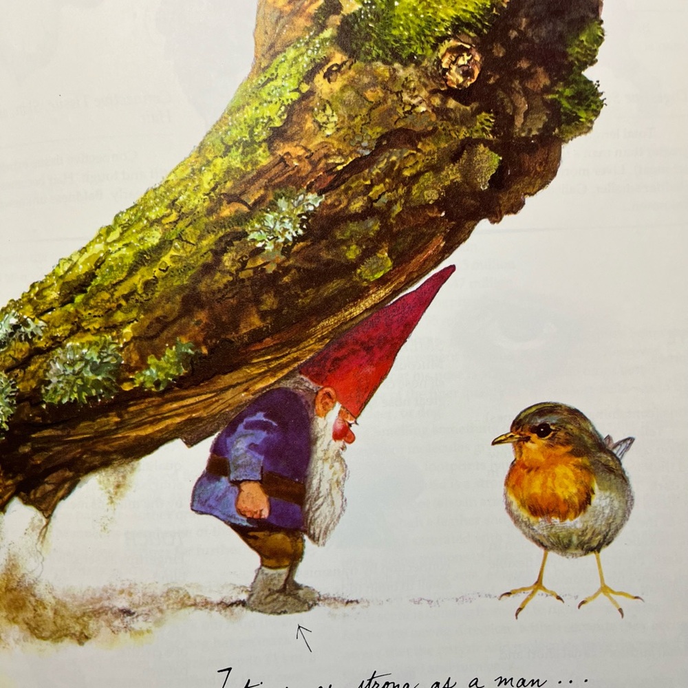 Vintage Gnomes Book; ©️1976 - Picture 4 of 7